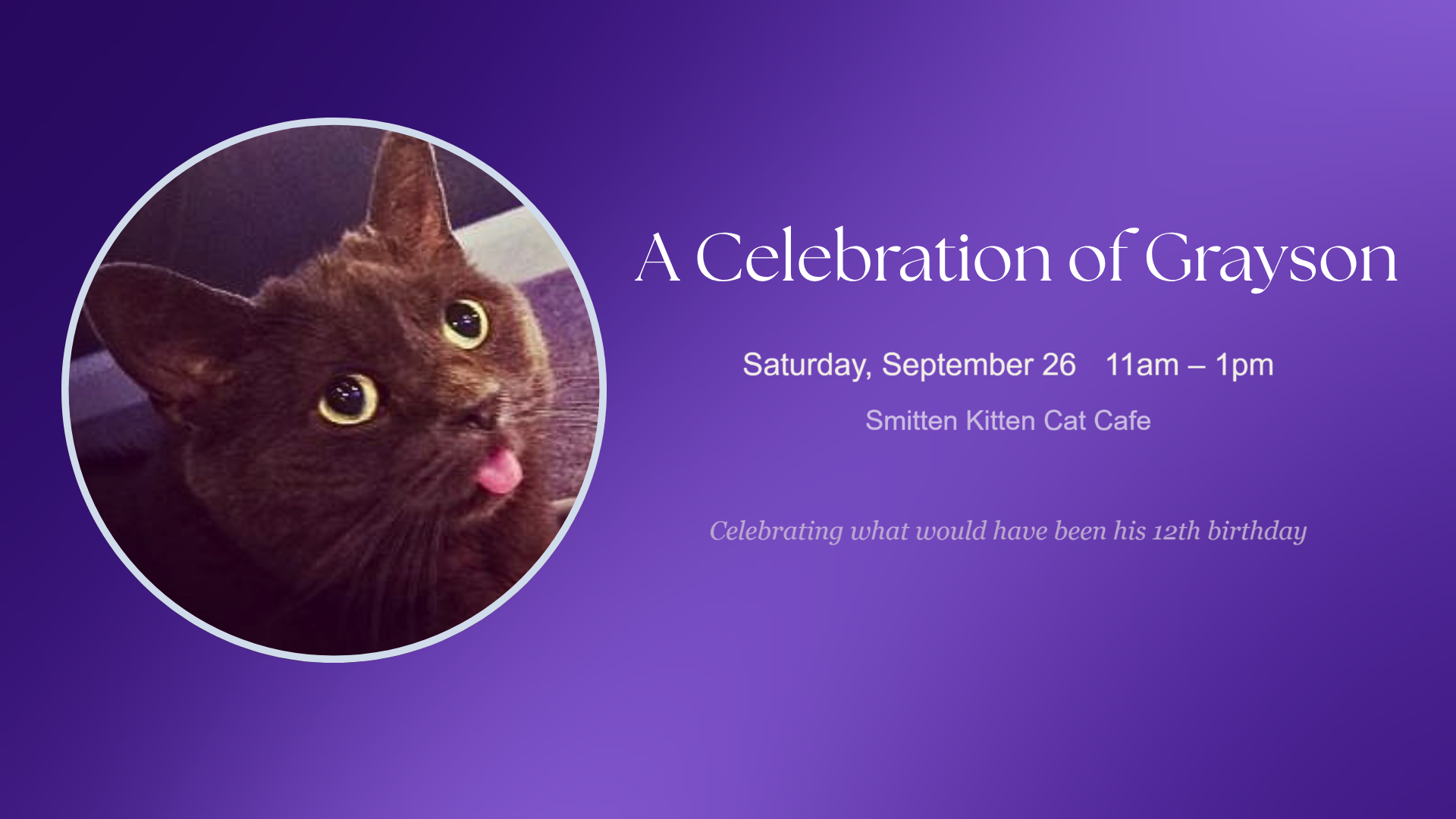A Celebration of Grayson — September 26 at Smitten Kitten Cat Cafe