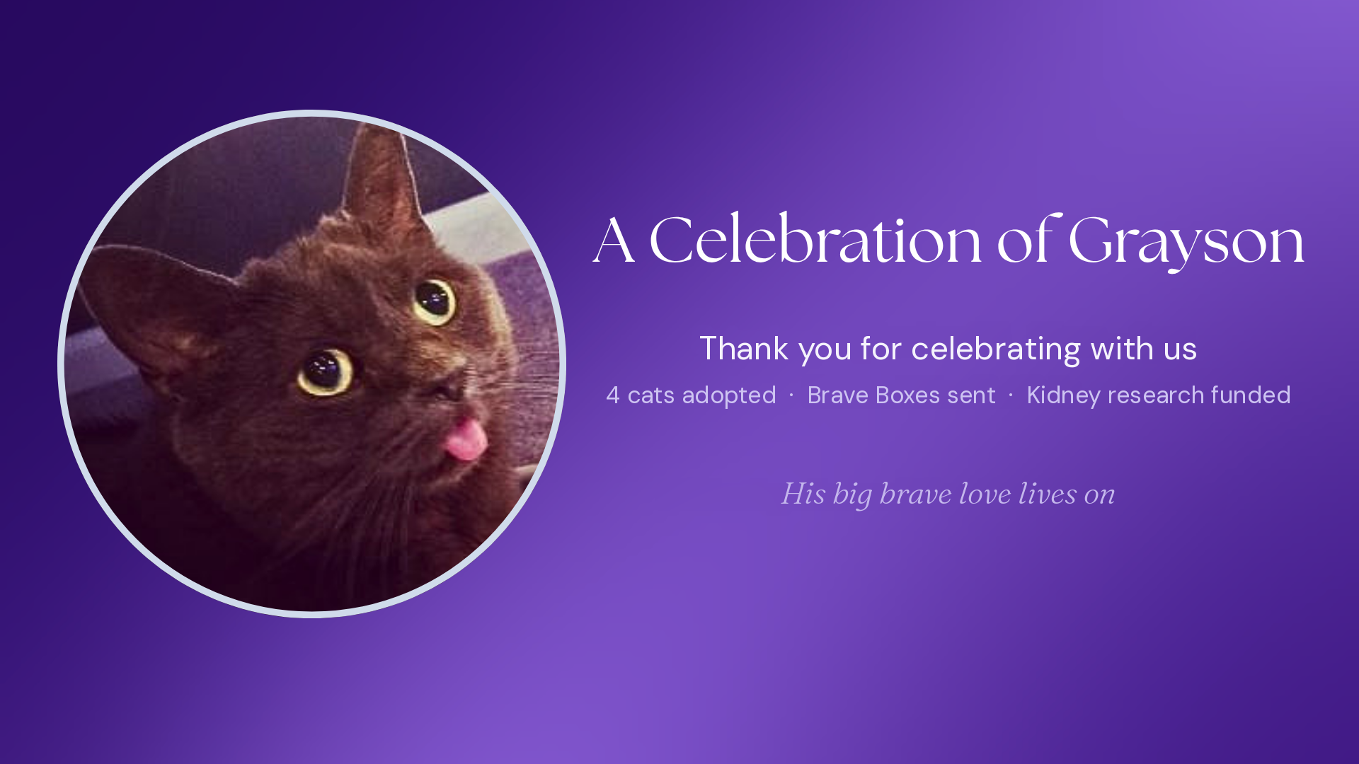 A Celebration of Grayson — thank you to everyone who celebrated