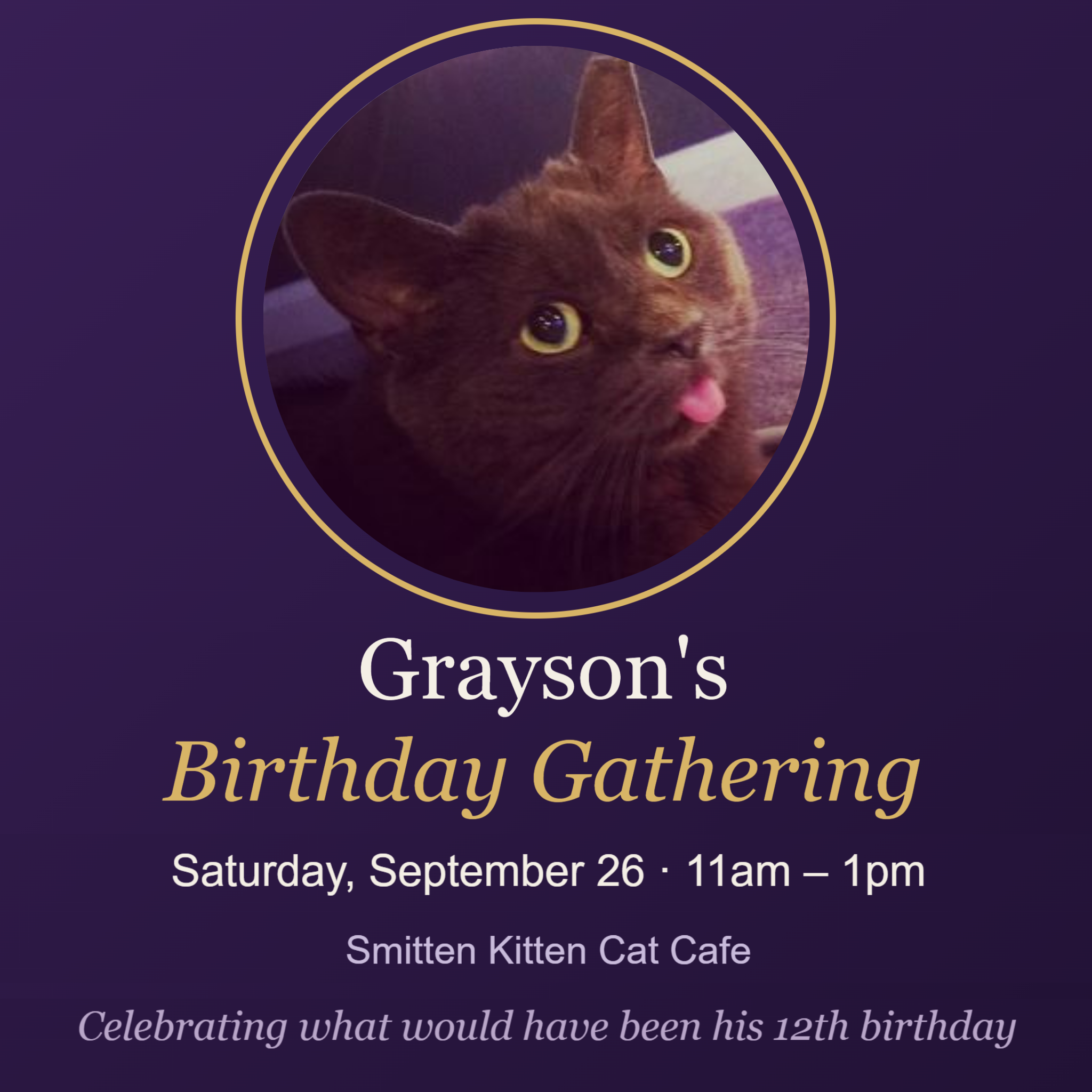 Grayson's Birthday Gathering at Smitten Kitten Cat Cafe