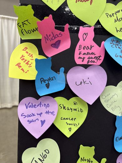 Handwritten heart notes naming beloved cats on the PurrCon memory wall