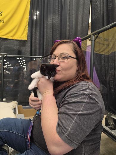 Attendee cuddling a kitten during a PurrCon Kitten Therapy Session