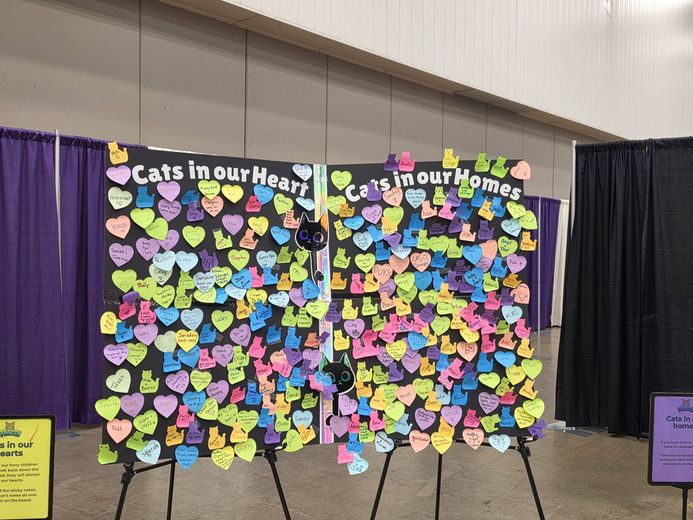 The Cats in our Hearts and Cats in our Homes wall covered in colorful heart notes