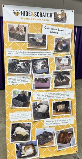 Hide & Scratch display of customer photos of cats in their boxes