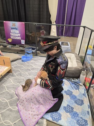 Cosplayer holding a kitten in the Kitten Therapy Sessions pen