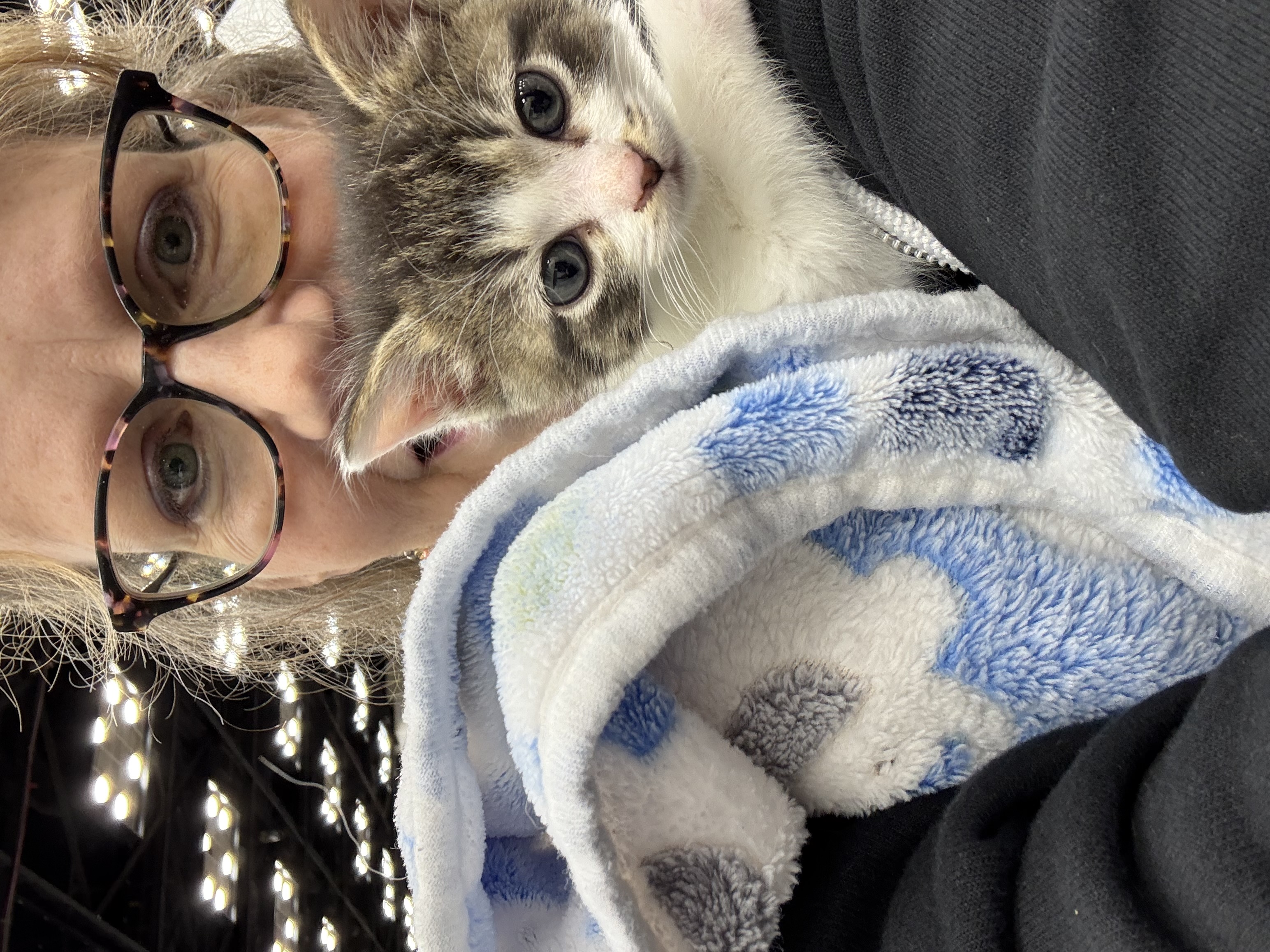 Attendee cheek to cheek with a tabby kitten