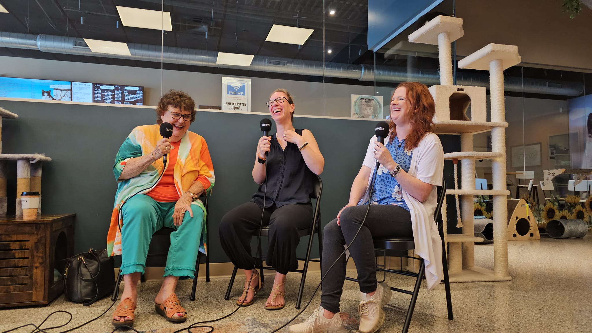 KJ facilitating a panel at Smitten Kitten Cat Cafe