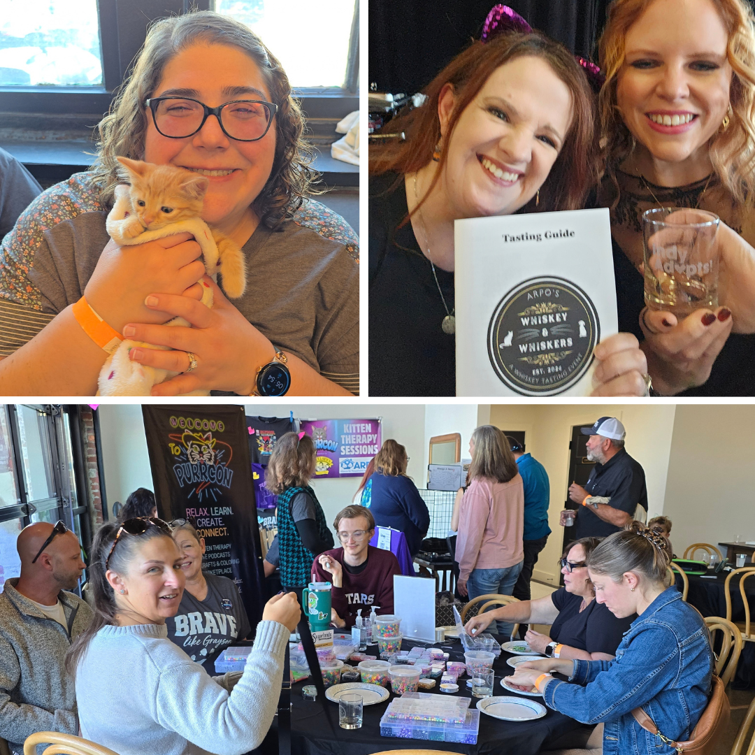 Guests at Whiskey and Whiskers 2026: a guest cuddling an orange kitten, KJ and a friend holding the tasting guide, and a table of people making bracelets beside the PurrCon banner