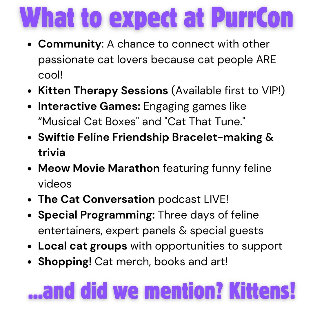 purrcon squares (5)